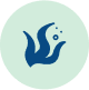 Alga morska